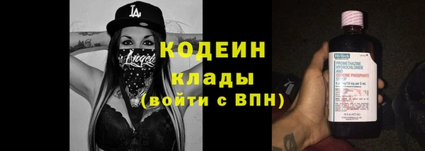 сатива Елизово