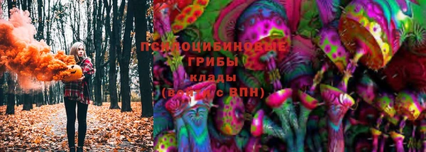 apvp Елабуга