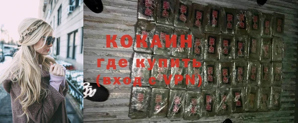 сатива Елизово