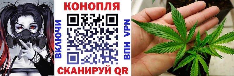 Купить где  Печора  Марихуана OG Kush 